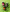 Promotion banner