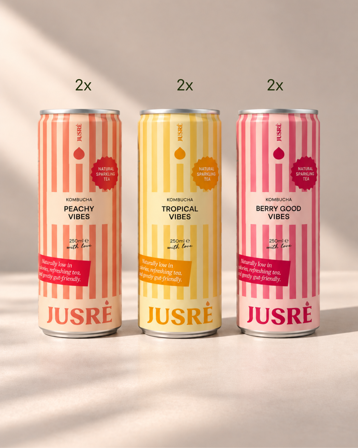 Best of Kombucha | 6 x 250ml